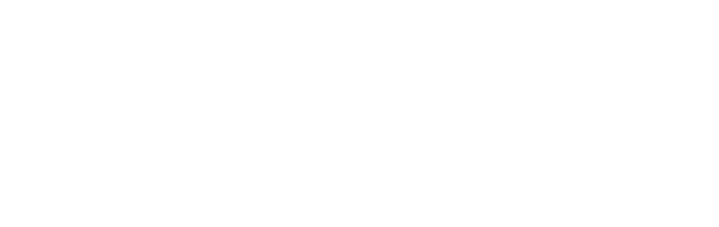The Magazine – Vision SCF